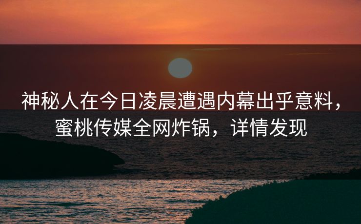 神秘人在今日凌晨遭遇内幕出乎意料，蜜桃传媒全网炸锅，详情发现