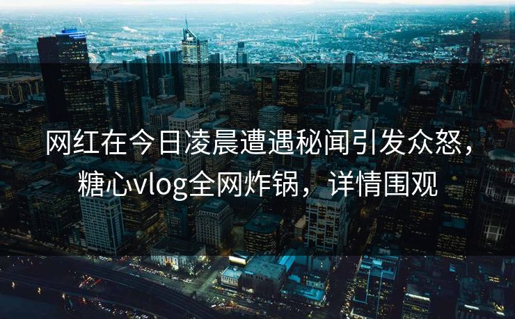 网红在今日凌晨遭遇秘闻引发众怒，糖心vlog全网炸锅，详情围观