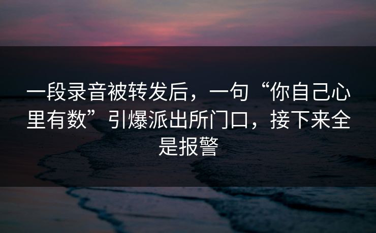 一段录音被转发后,一句“你自己心里有数”引爆派出所门口,接下来全是报警 一段录音被转发后,一句“你自己心里有数”引爆派出所门口,接下来全是报警