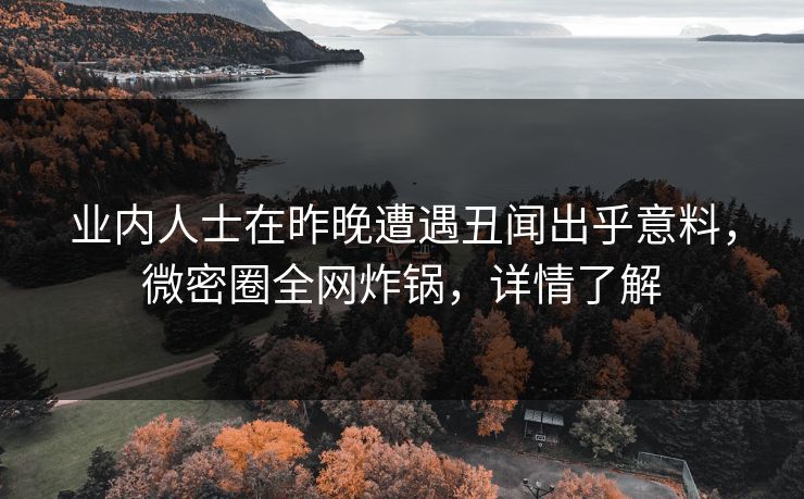 业内人士在昨晚遭遇丑闻出乎意料，微密圈全网炸锅，详情了解